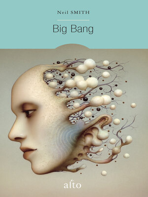 cover image of Big Bang